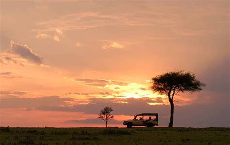 The Maasai Mara Game Reserves Micato Safaris