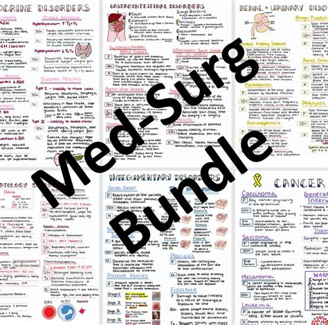 Med Surg Basics Bundle ™ Nursing Study Guide Nursing Cheat Sheet