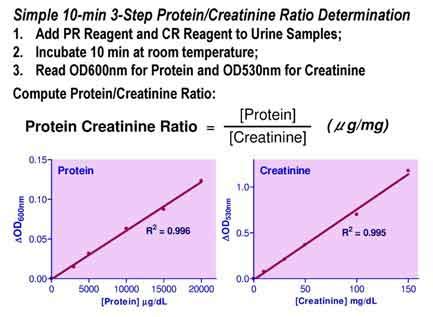 Semiquantitative methods of urine protein excretion, such as the spot urine albumin creatinine ratio, are recommended for determining the severity ofckd and. Protein Creatinine Ratio Assay Kit | BioAssay Systems