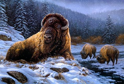 Solve Bison In Snow Jigsaw Puzzle Online With Pieces