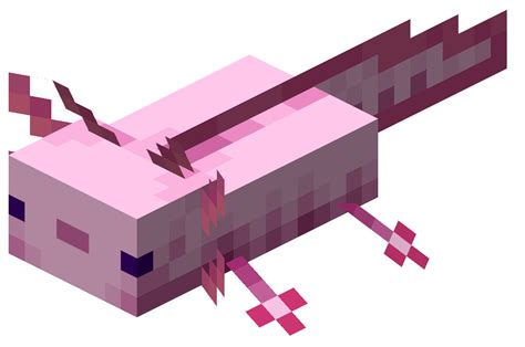 Minecraft Axolotl Head Png The Minecraft Axolotl Mob Is Just One Of