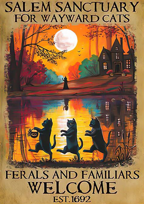 Limited Poster Salem Sanctuary Wayward Cats Ferals And Familiars