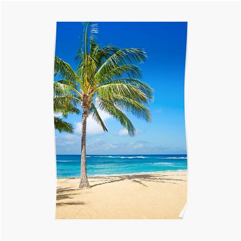 Palm Trees On The Sandy Beach In Hawaii Poster By Ellensmile Redbubble
