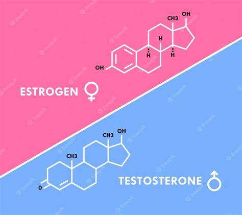 Premium Vector Estrogen And Testosterone Hormones Symbol Sex Hormones
