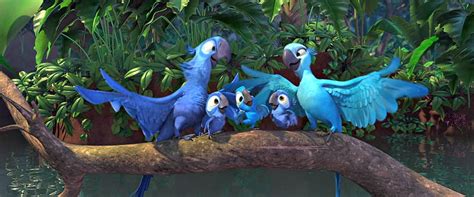 1080p Free Download Rio Cartoon Movies Blue Birds Hd Wallpaper