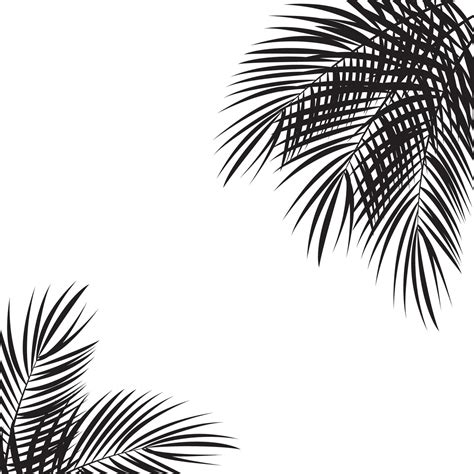 Palm Leaf Vector Background Illustration 4544484 Vector Art At Vecteezy