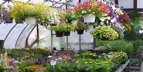 10 Gorgeous Hanging Garden Ideas — Bees And Roses Gardening Tips And