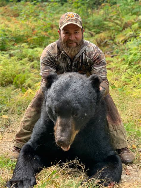 Three Reasons To Hunt Bear — Wildfed