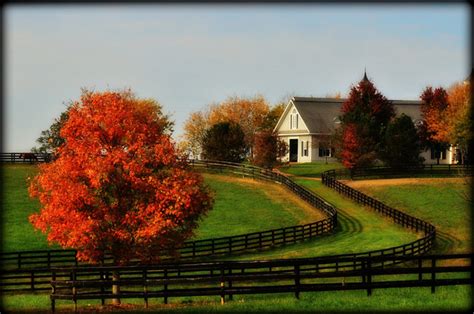 Things To Do In The Lexington Ky Area In The Fall Hubpages
