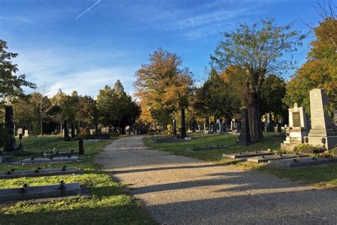 Ein Spaziergang über Den Wiener Zentralfriedhof Christine Unterwegs