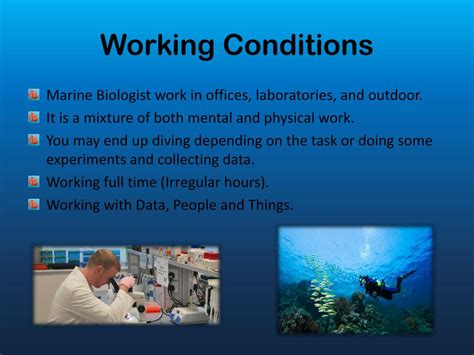 Marine Biology Work Experience