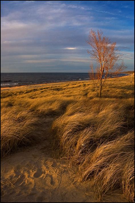 Lake Michigan Dunes At Sunset The Low Sun Highlights The M Flickr
