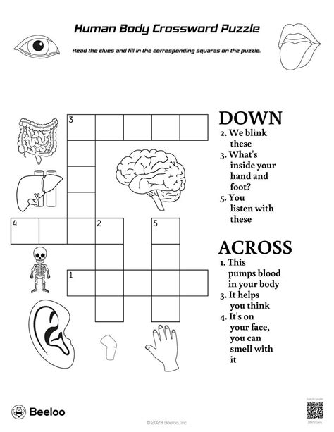 Human Body Themed Crossword Puzzles Beeloo Printable Crafts And