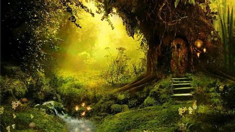 Fairyland Magic Forest Fantasy Magical Forest