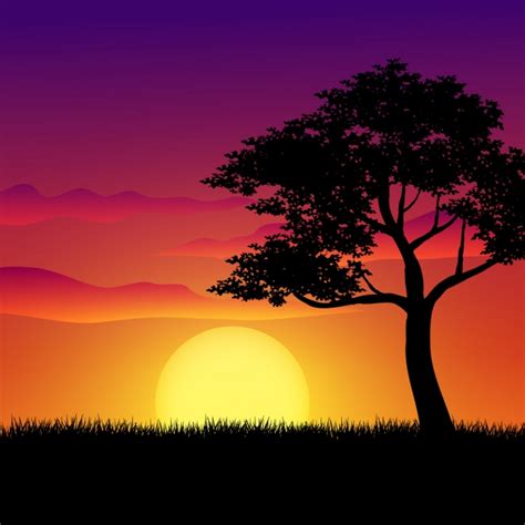 Sunset Nature Landscape With Big Tree Background Tree Grass Scenery