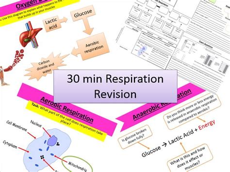 Gcse Bio Respiration In 30 Mins Teaching Resources