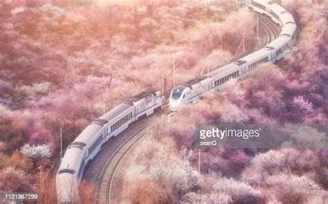 Pink Train Photos And Premium High Res Pictures Getty Images