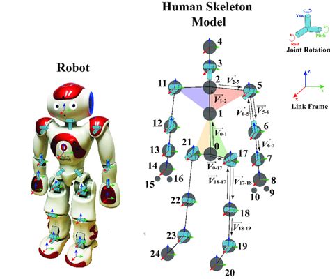 Joint Structures And Link Frames Of The Robot And The Human Skeleton