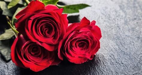Rosas Para El Día De La Madre Kiss Fm