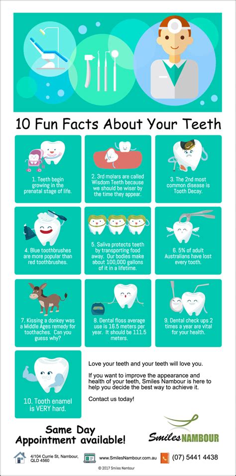 10 Fun Facts About Your Teeth Smiles Nambour