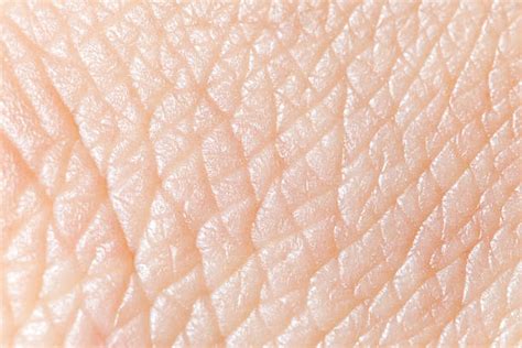 Human Skin Stock Photos Pictures And Royalty Free Images Istock