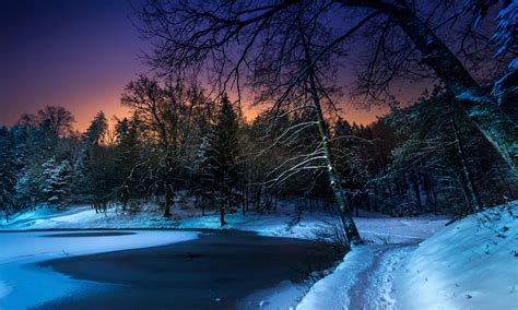Frozen Winter Pond