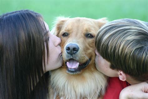 Teen Kissing Dog Telegraph