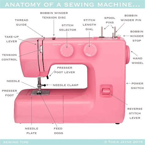 Anatomy Of A Sewing Machine Sewing Machine Beginner Sewing Machine