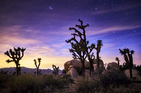 Stars In The Sky At Joshua Tree National Park Stock Photo Download