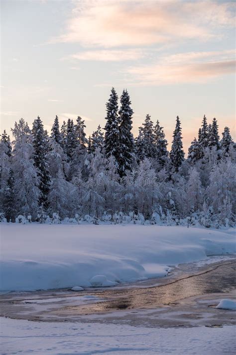 Winter Wonderland Lapland Scene Sunset Stock Photo Image Of Finland