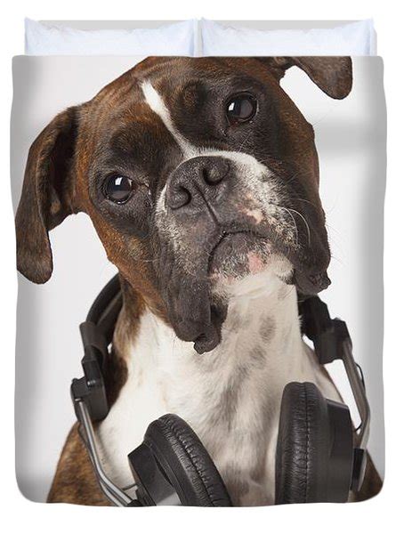 Boxer Dog With Headphones Photograph By Ljm Photo