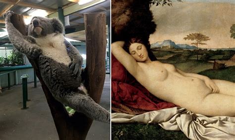Sydney Koala Attempts Nude Pose To Recreate Sleeping Venus Masterpiece