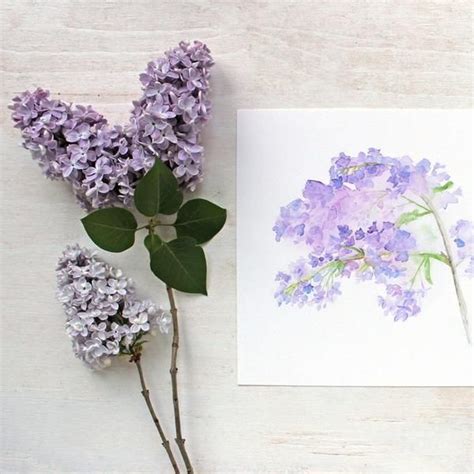 Lilac Painting Painting And Drawing Flower Painting Flower Art