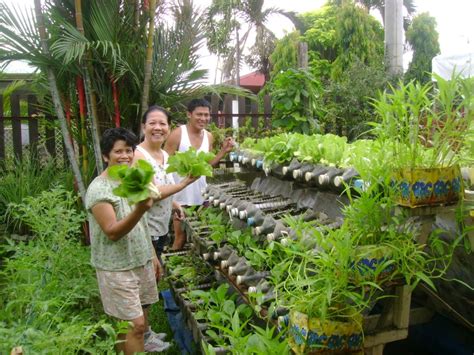 To begin square foot gardening, prepare a raised garden box. 20+ Vertical Vegetable Garden Ideas | Home Design, Garden ...