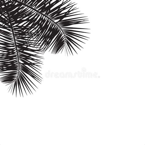 Mooi Palmboomblad Op Transparante Achtergrondvectorillustratie Eps