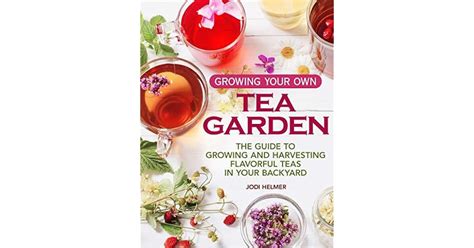 Growing Your Own Tea Garden The Guide To Growing And Harvesting