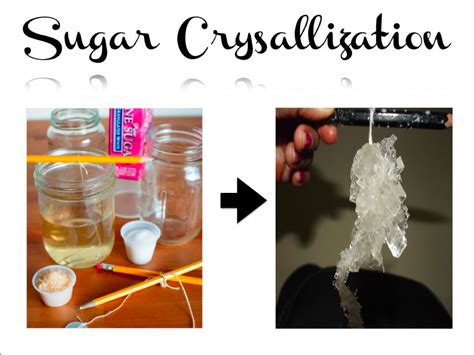 Sugar Crystallization Experiments Sugar Suga
