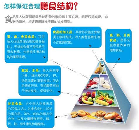 保持合理膳食结构，请参考这张“宝塔” 中国数字科技馆
