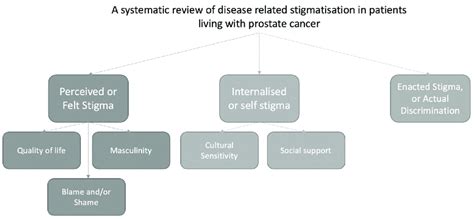 Theme Structure Demonstrating The Stigma Domains And Developed Themes