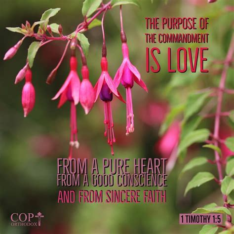 1 Timothy 15 Now The Purpose Of The Commandment Is Love From A Pure