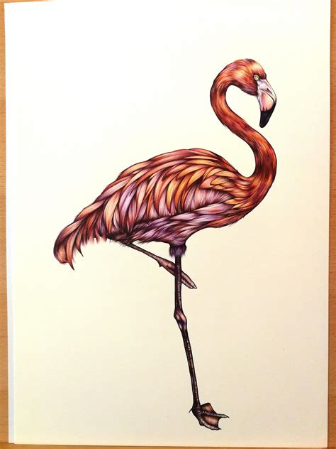 A Flamingo In Ballpoint Pen Art Inspiration Drawings Art