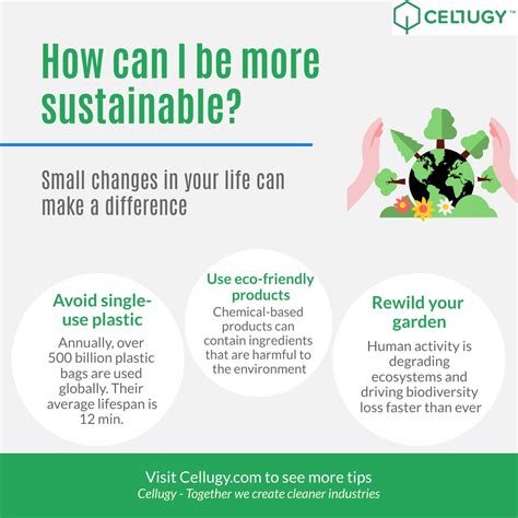 10 Tips On How You Can Be More Sustainable Cellugy