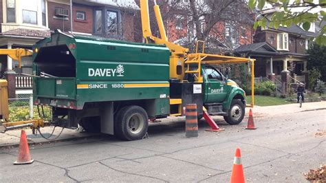 Davey Tree Removal October 13th 2013 Toronto On Youtube