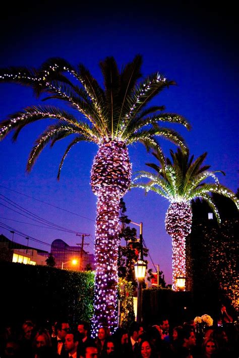 Palm Trees Light Up The Night At Cecconis West Hollywood Christmas