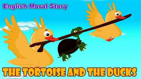 The Tortoise And The Ducks Animated Short Stories Moral Stories In