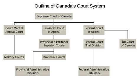 There are generally two types of trials, criminal and civil. Court system of Canada - Wikipedia