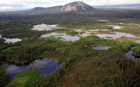 The Boreal Forests Of The World Norths Natural Wonder