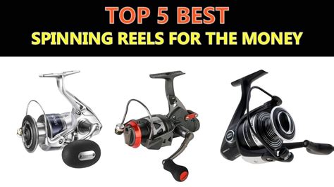 Best Spinning Reels For The Money 2020 Youtube