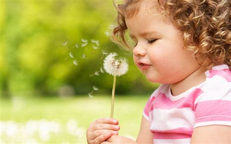 Cute Girl Playing With Dandelion Flower Hd Image Wallpaper Free