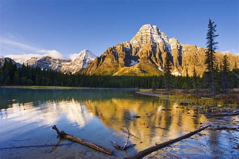 Waterfowl Lakes And Mount Chephren Photograph By Yves Marcoux Fine